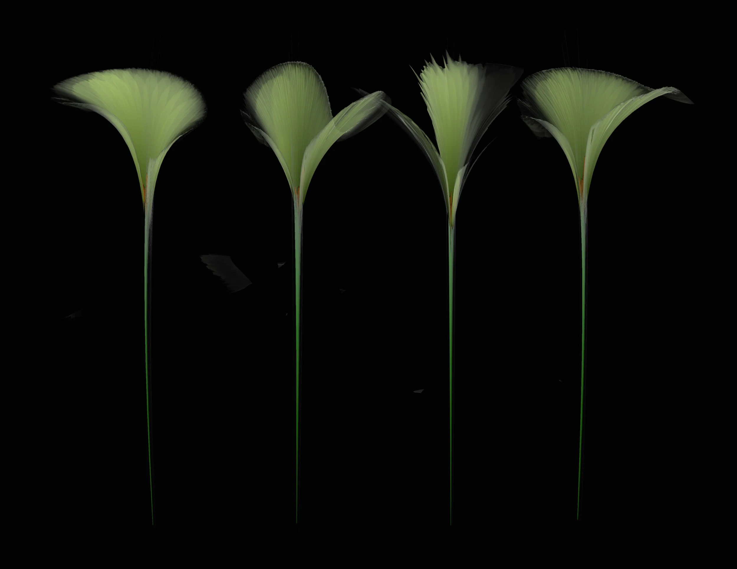 Flora Project 533