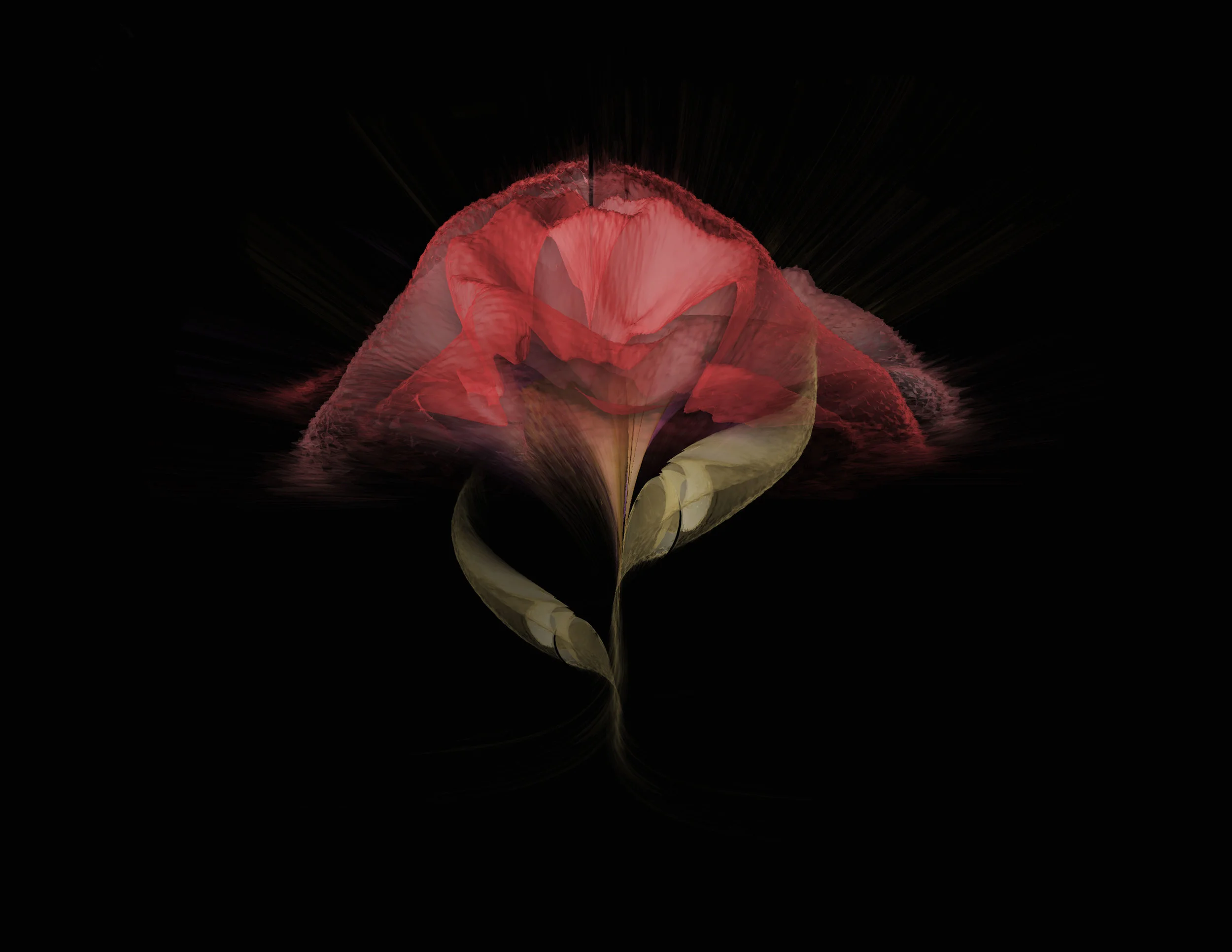 Flora Project 664