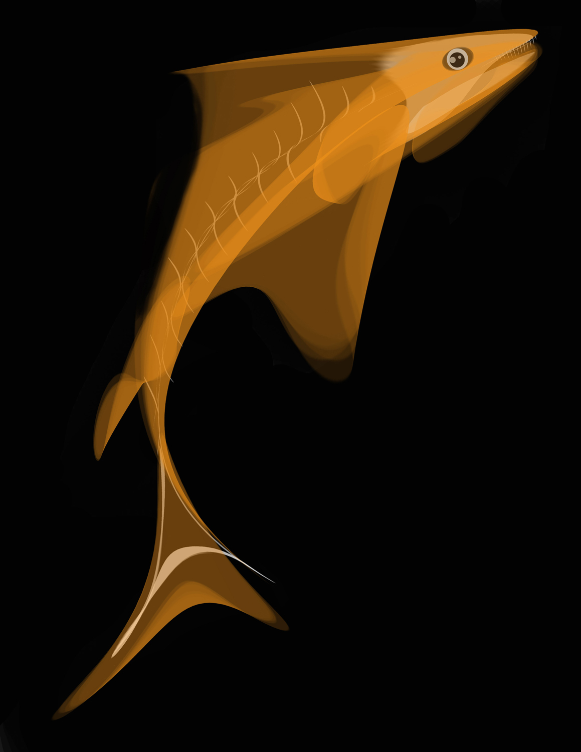Tropical Fish 63