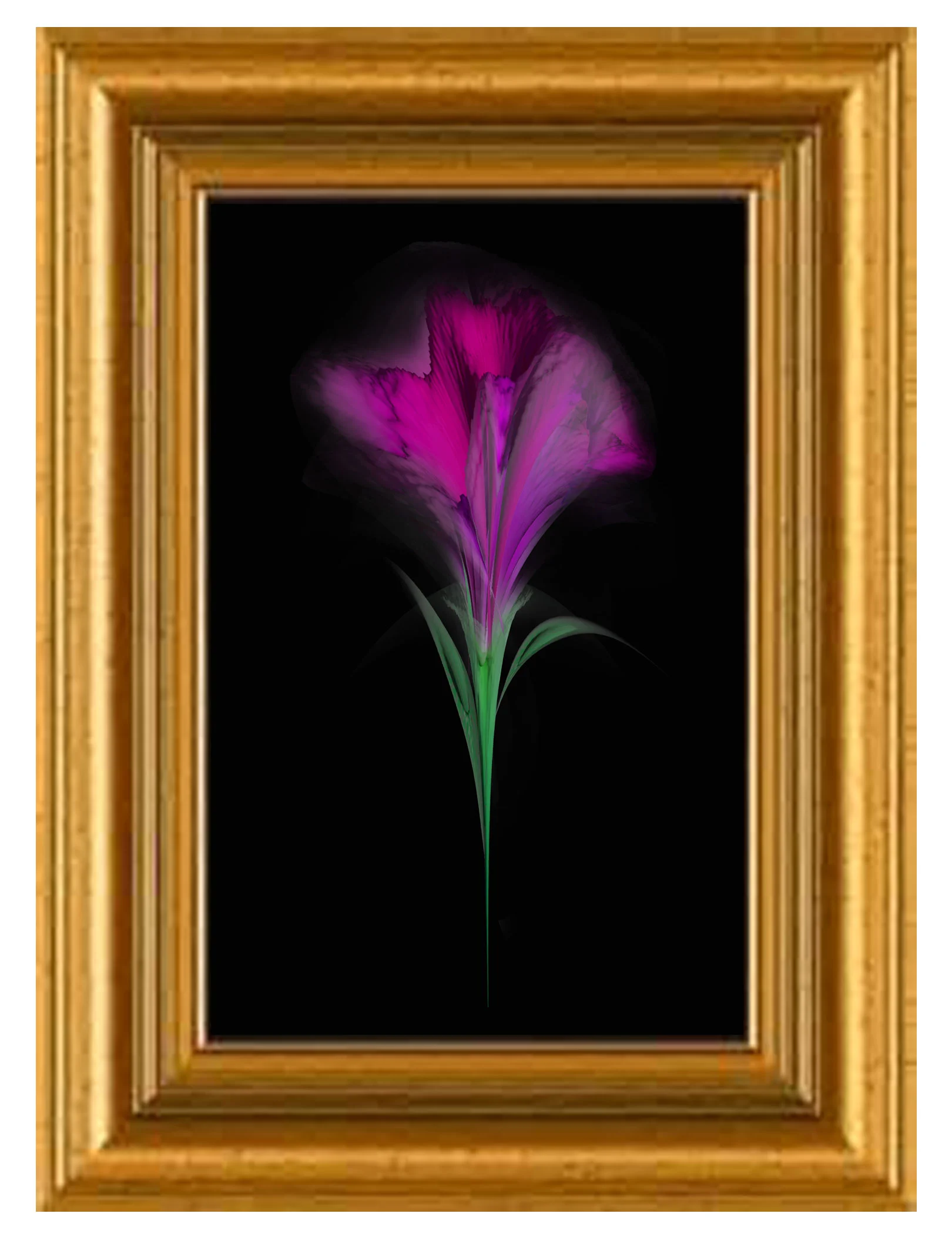 frame-2-comp.jpg