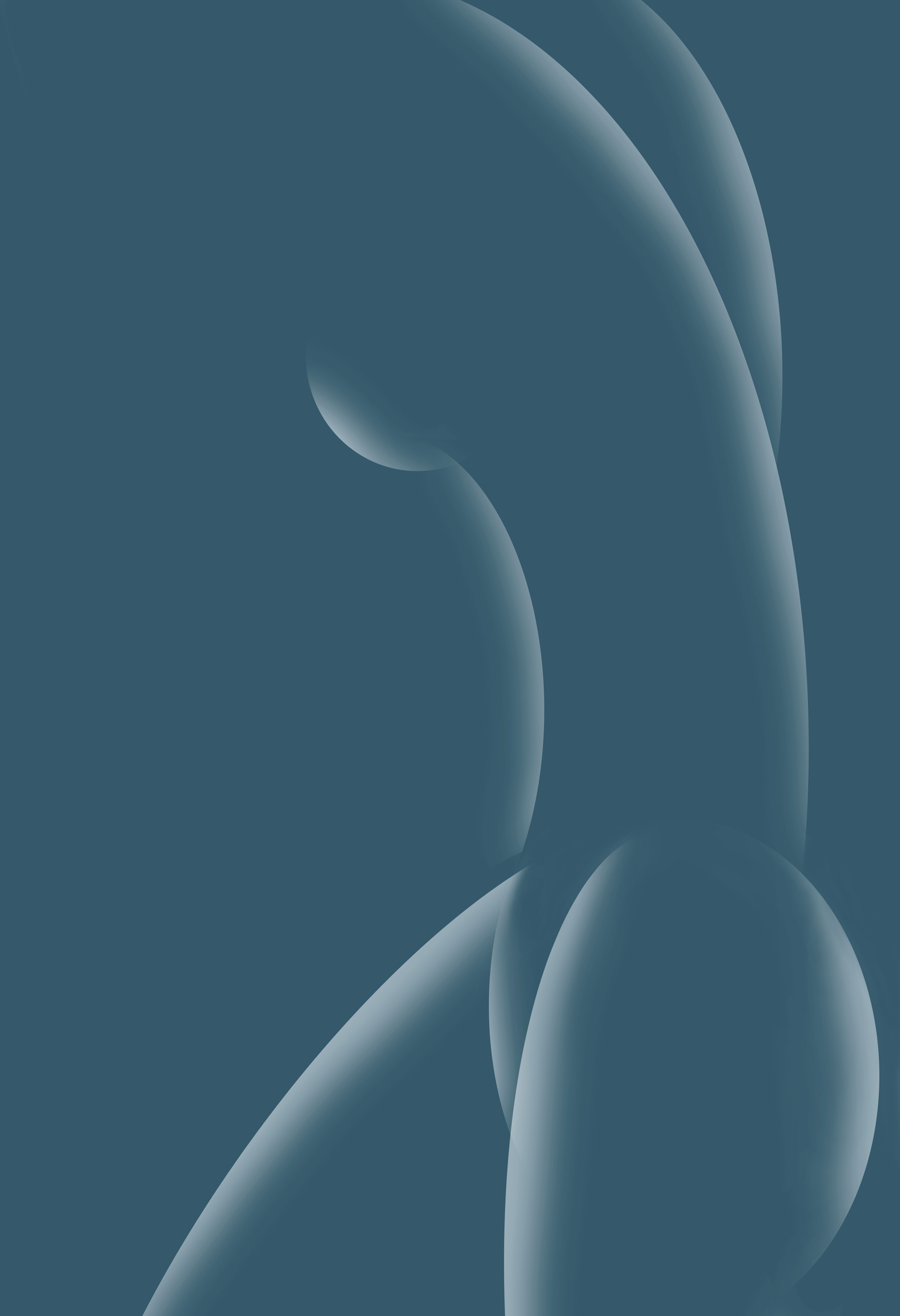 Shadow-Torso-5.jpg