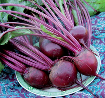 beet-detroit dark red.jpg