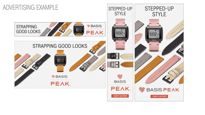 BASIS PPTX images.008.jpeg