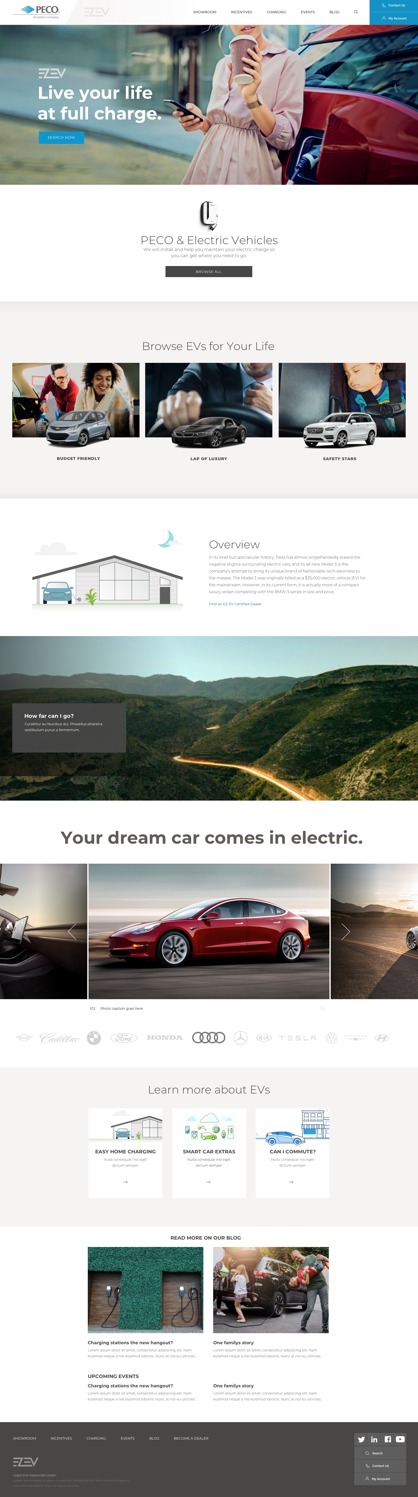 Home  MF1 - more color.png