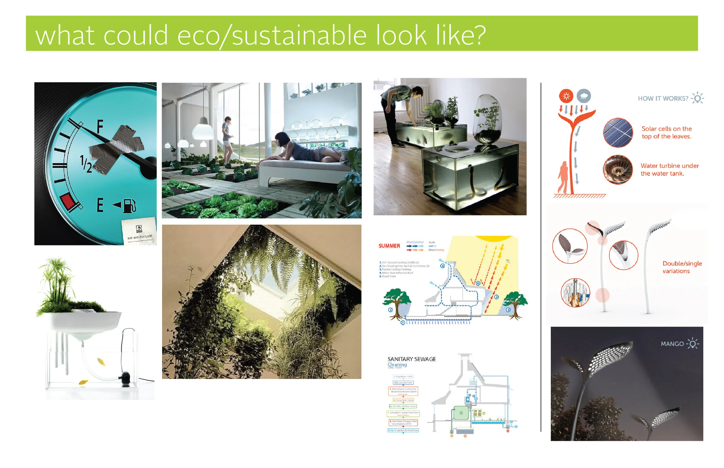 eco sustainability