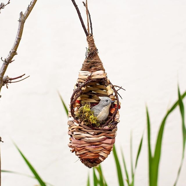 Spring has sprung! I&rsquo;m going to hang this woven birdhouse I made for my partner. I used organic dyed and waxed twine combined with garden waste. The spine of the house is cotoneaster from my garden that I used fresh ( I wouldn&rsquo;t recommend