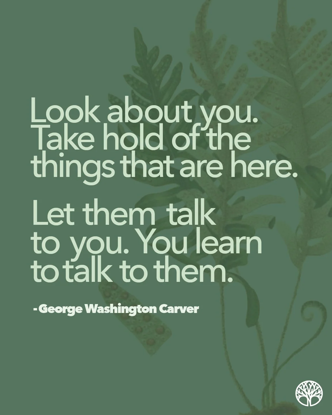 Inspiring Quote from Prestigious Scientist