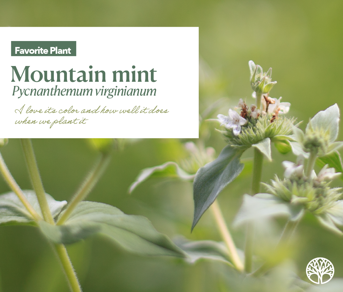 0228_nickArtboard 4 copy 10@4x.png