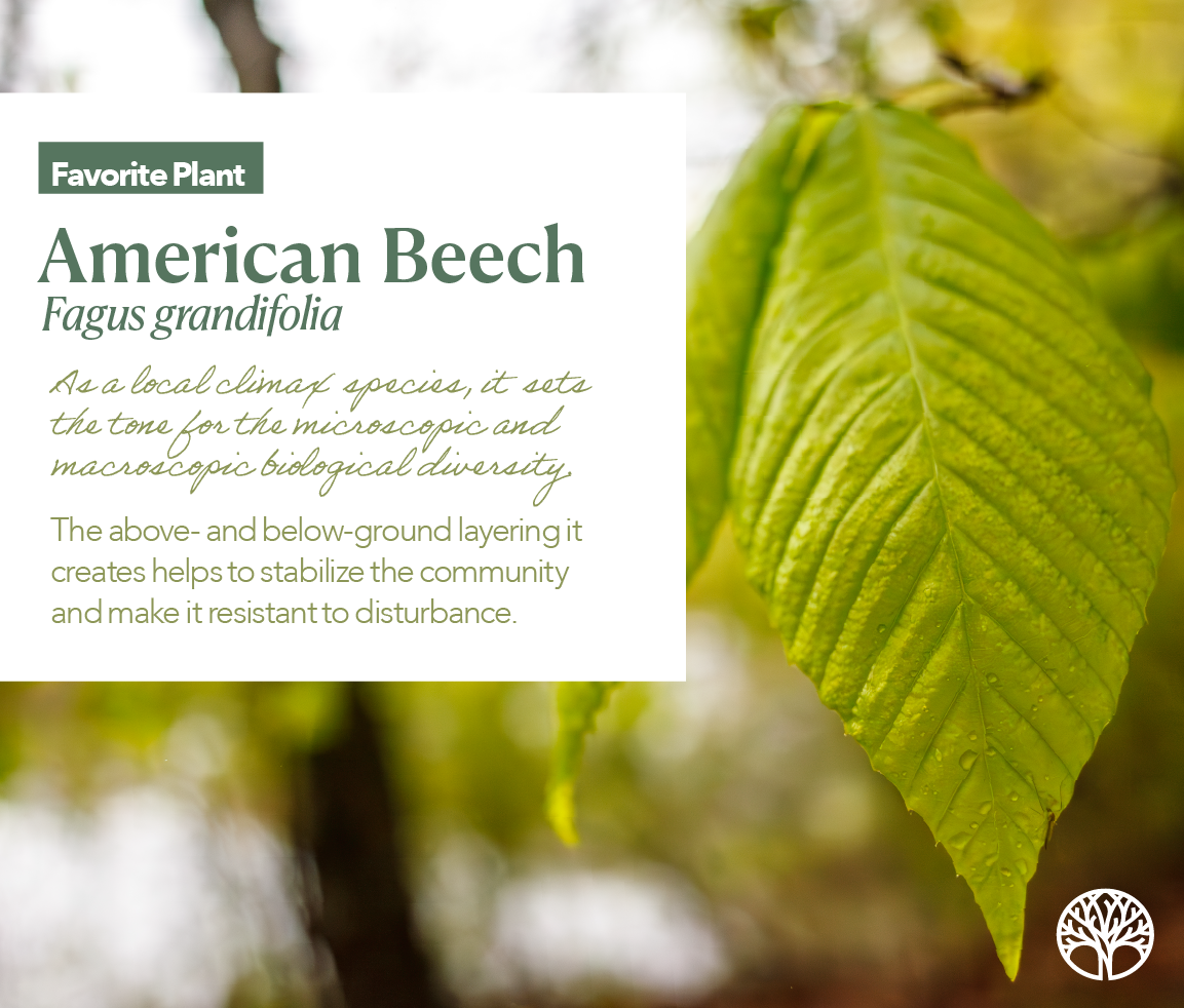 0313_frankfrank plant@4x.png