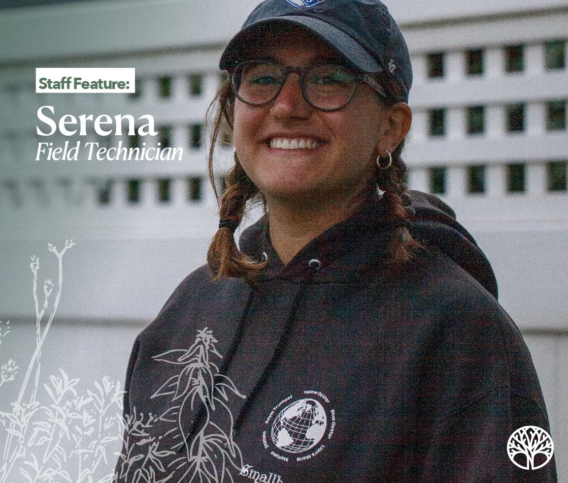 20240418_BRANDSerena cover @4x-100.jpg