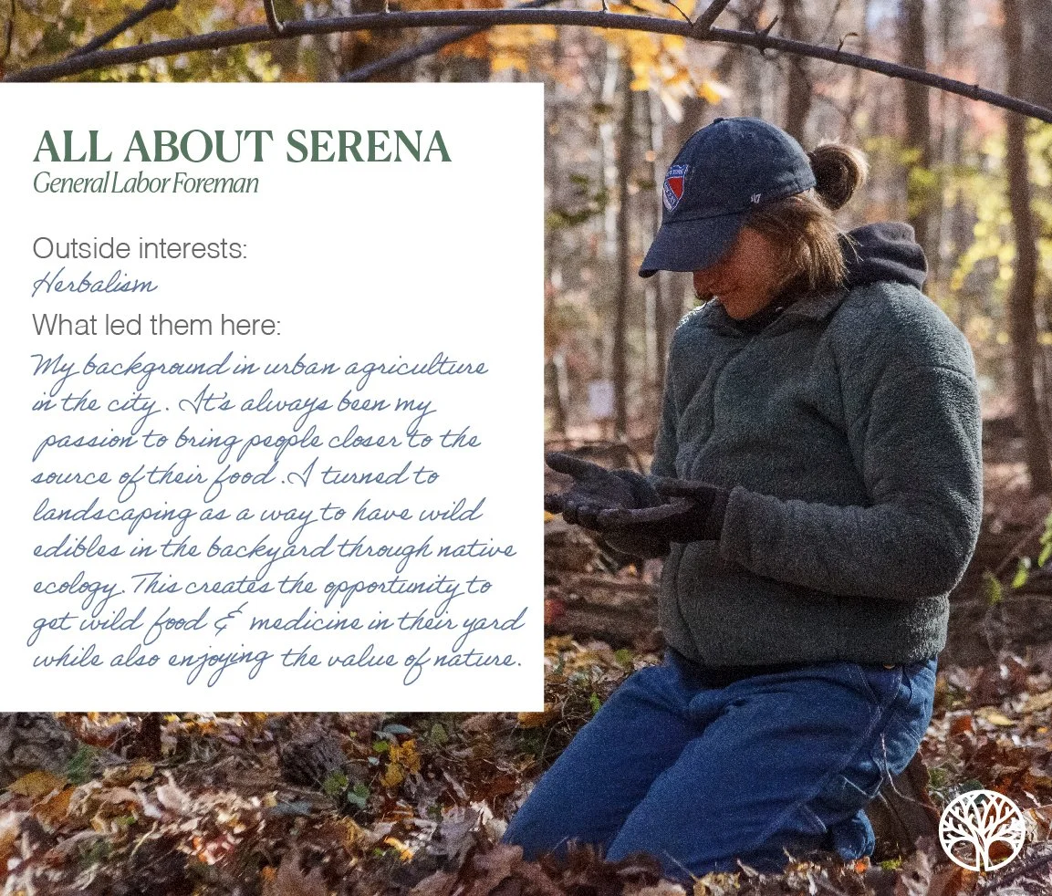 20240418_BRANDSerena info @4x-100.jpg