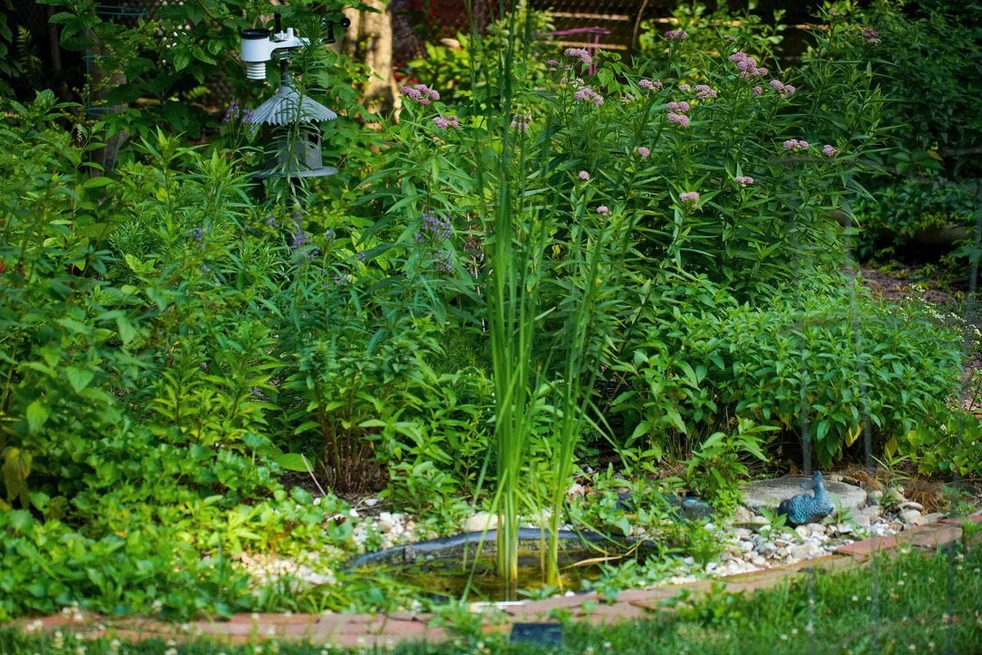 0EDF8D5B-C12C-4F07-9087-544C313E58C2_1_105_c copy.jpg