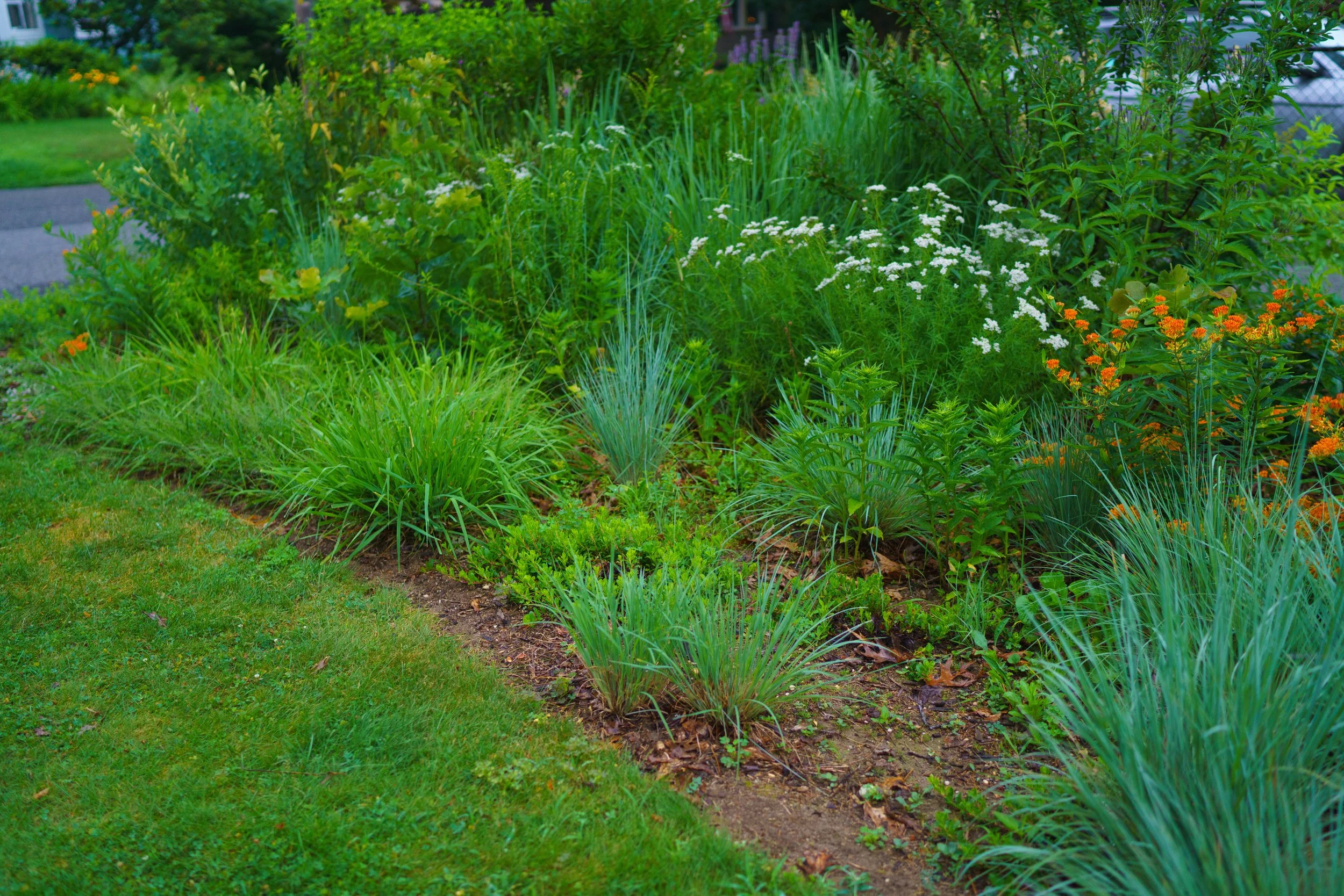 DSC06413_copy copy.jpg