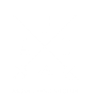 Asgard Fencing Logo_path-03.png