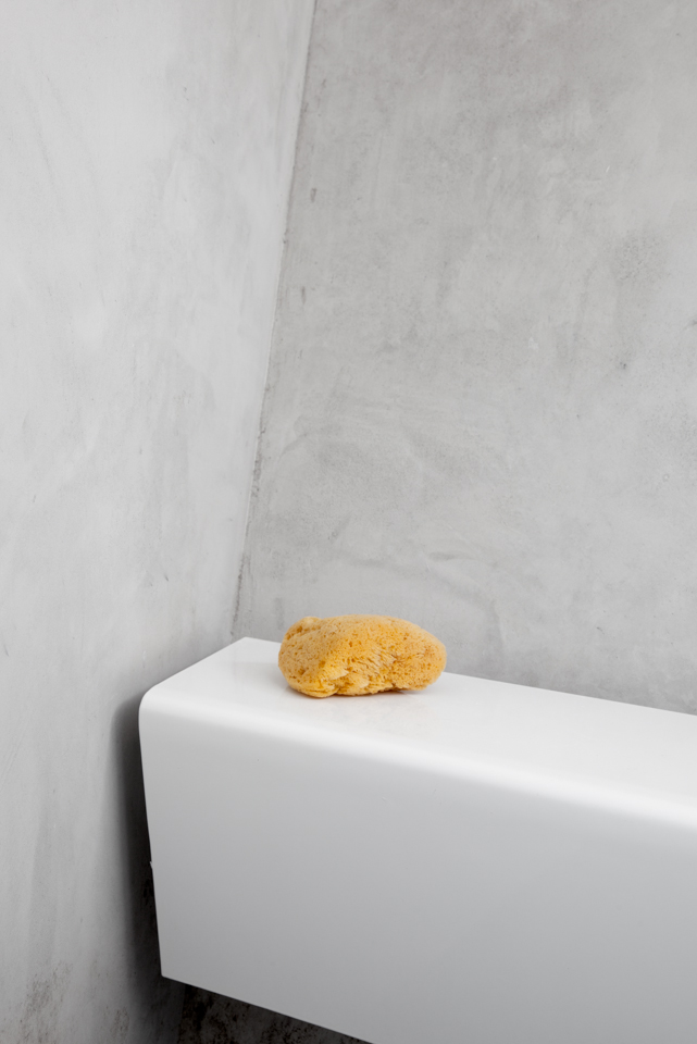 Adam Schreiber Photographer