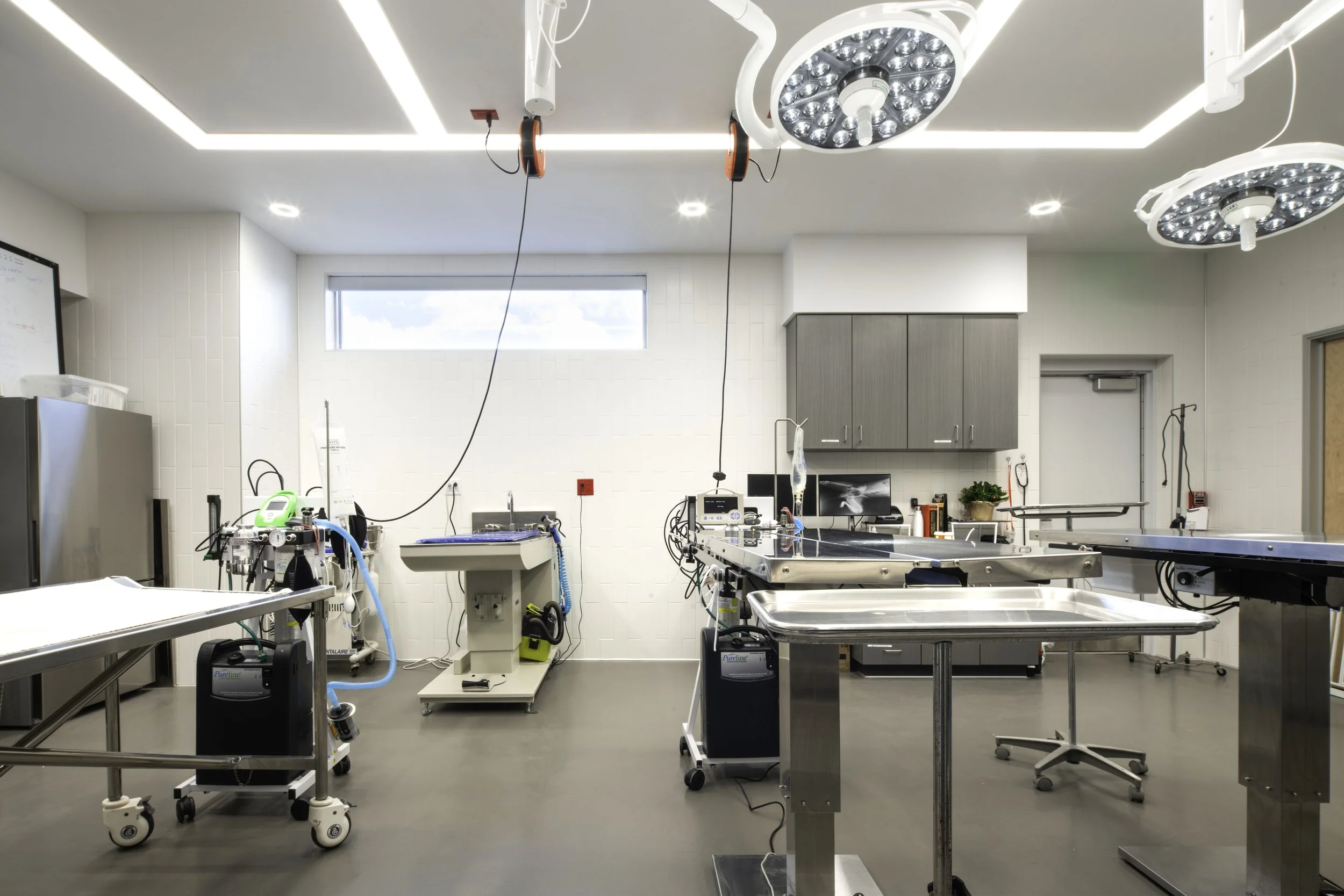 PINAL COUNTY ANIMAL CARE-WINQUIST-04379.jpg