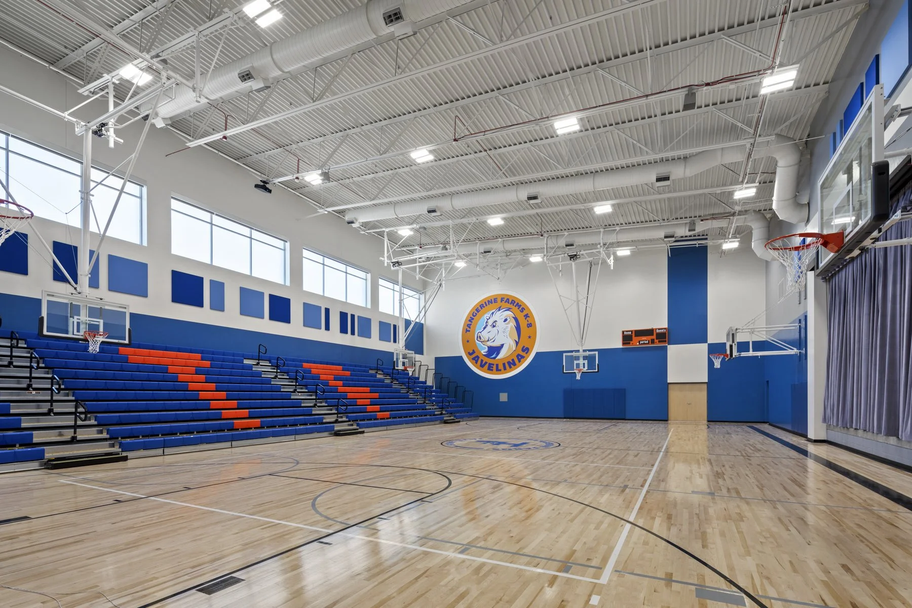 7 Tangerine Farms-20.jpg