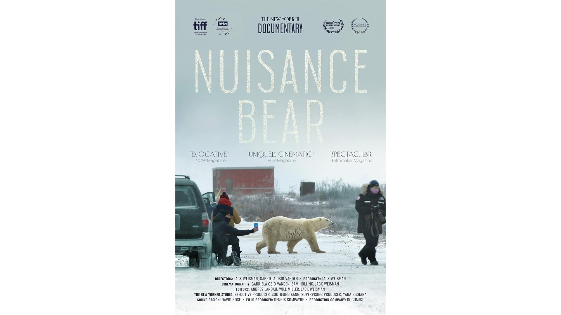 NUISANCE BEAR Trailer | TIFF 2021
