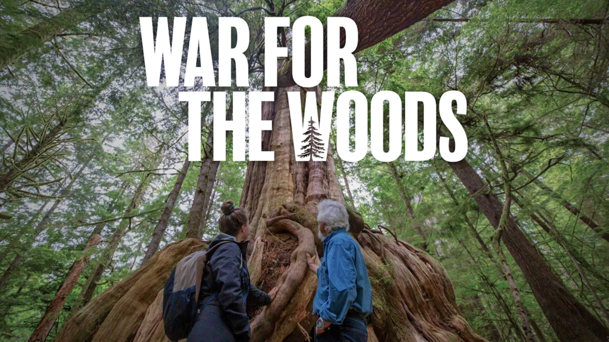 War For the Woods - Teaser Trailer