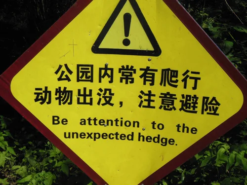 Behind it is hiding Monty Python's Spanish Inquisition, no doubt.