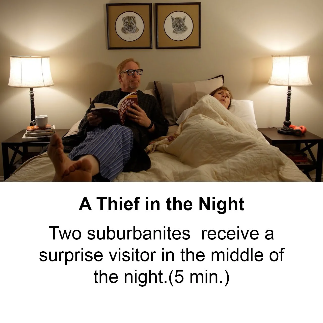 A Thief in the Night.jpg