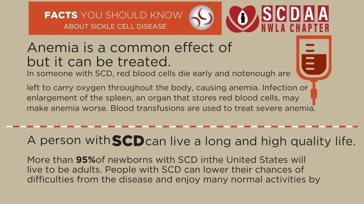 SICKLE CELL AWARENESS MONTH -FACTS YOU SHOULD KNOW
Morning Star is working to make you aware of Sickle Cell disease and the effects it can have on you or someone you love.
#SickleCellAwareness #nwlasicklecelldiseasefoundation #sicklecellwarrior