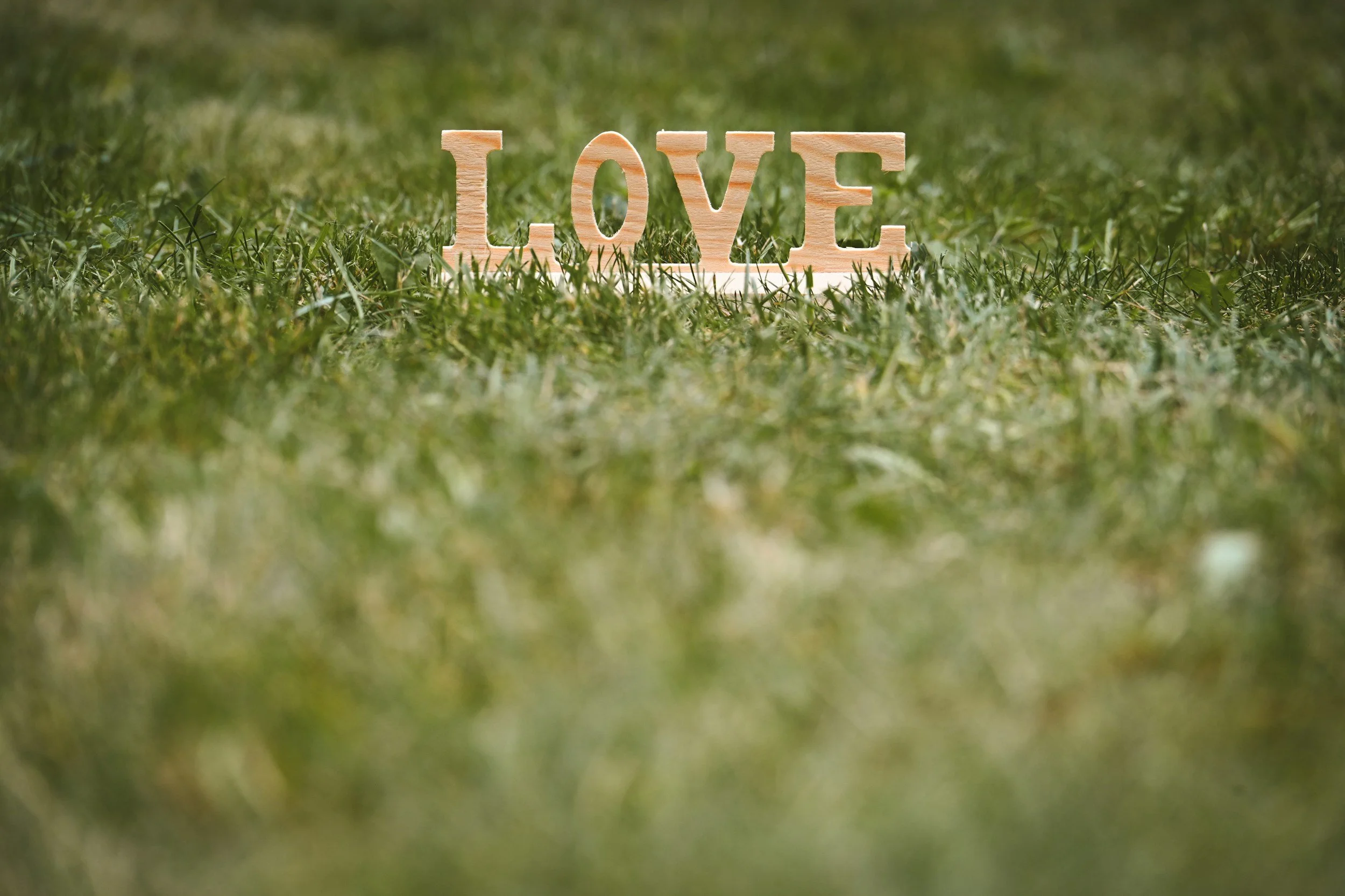 Love Thy Neighbor