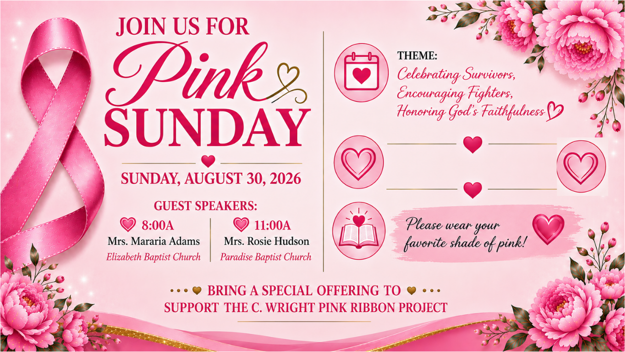 Pink Sunday Speakers.png