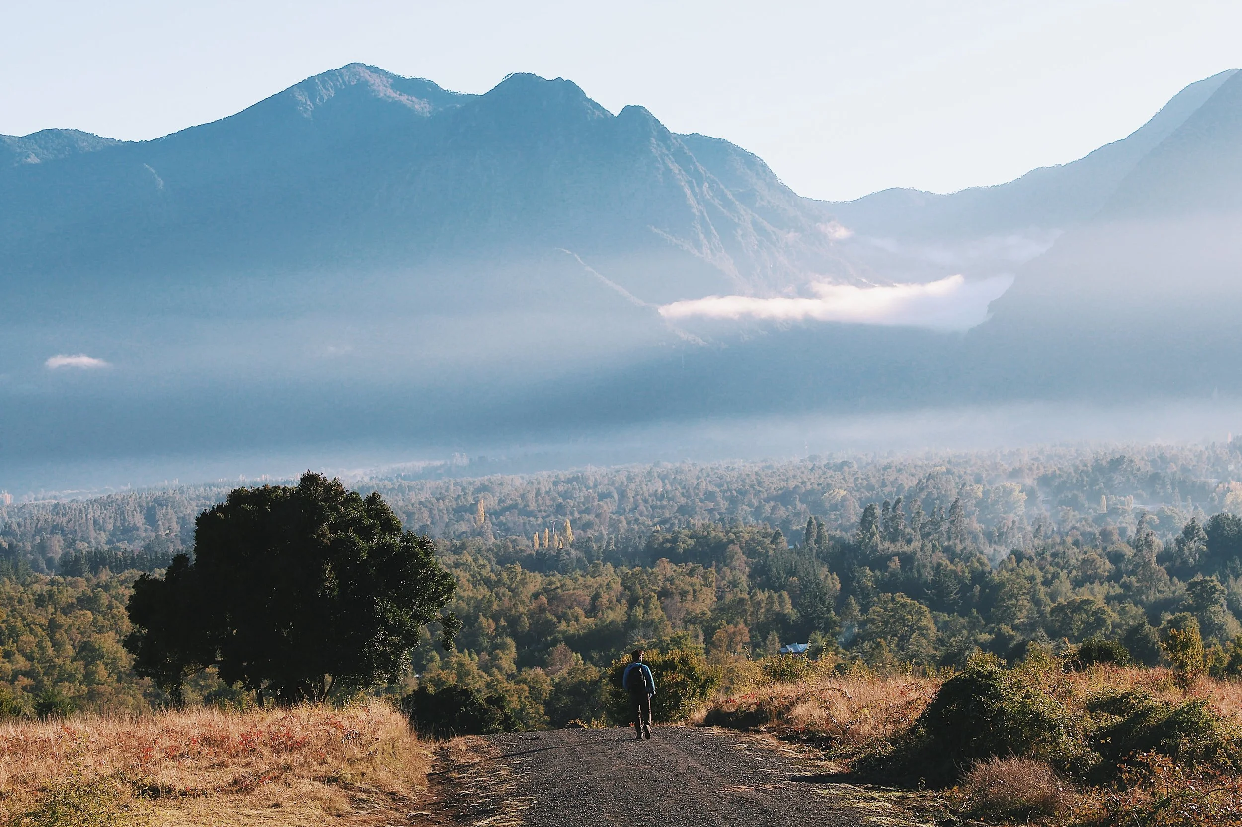 Beautiful start to the hike