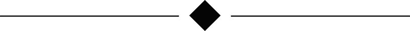 black-divider-png-7.png