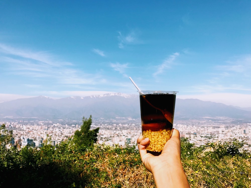 10 Ways to Eat and Drink Your Way Around Santiago - Discover Santiago's  Local Food – Go Guides