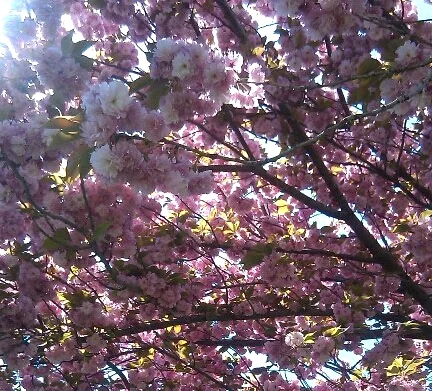 How to talk about your virginity...or lack of.