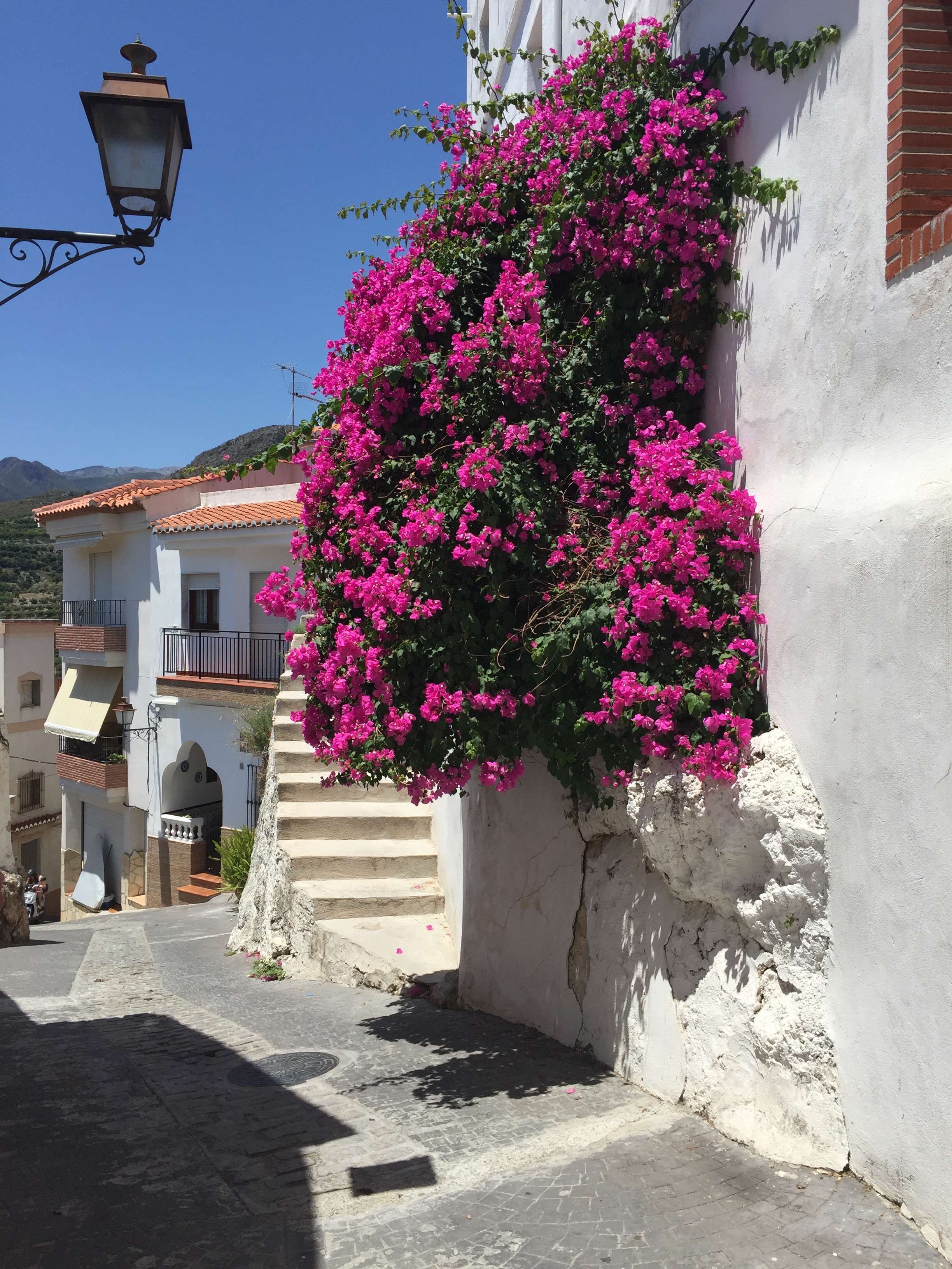 Meeting Kitty Sewell in Andulucia, Spain