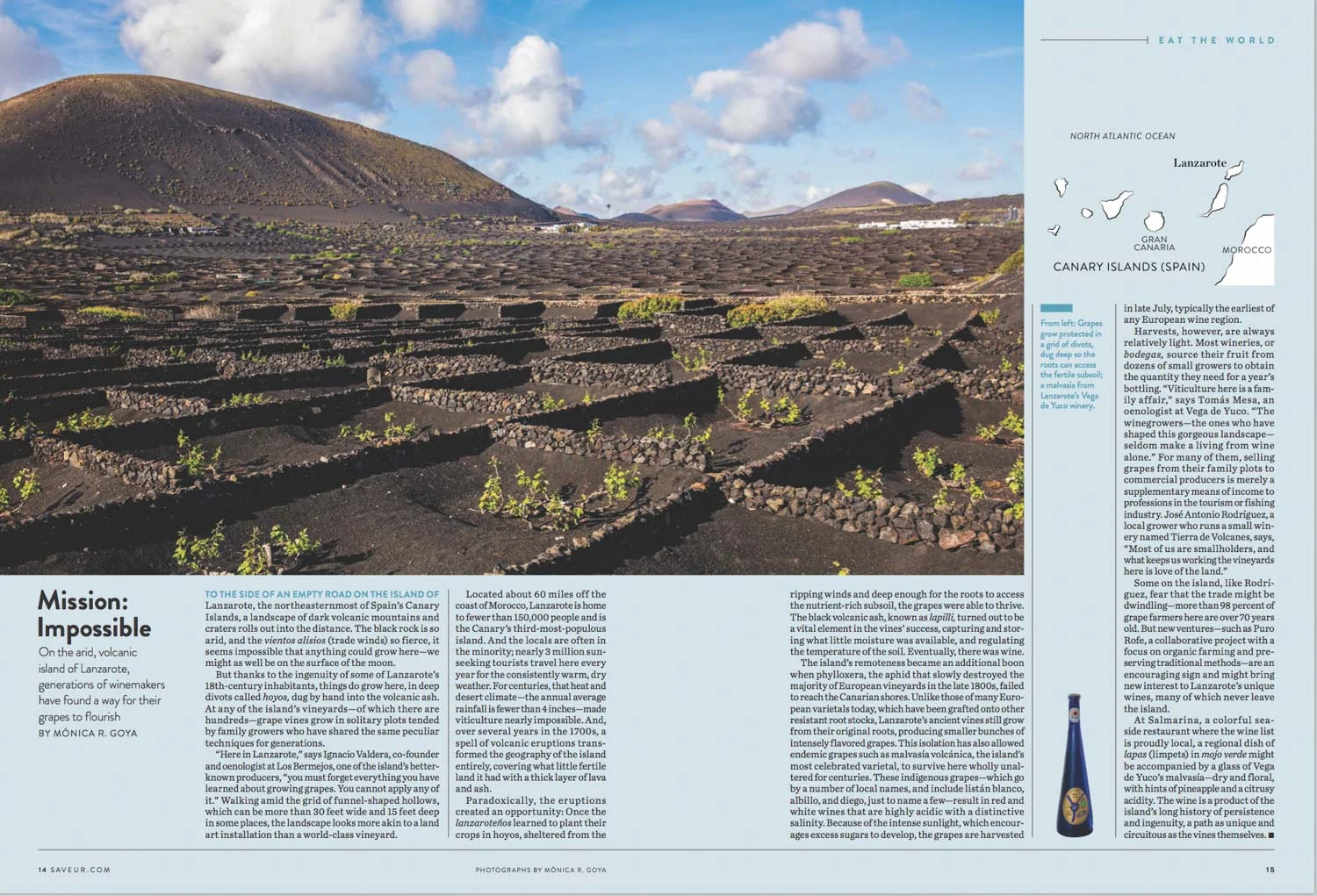 saveur-lanzarote-monicargoya.jpg