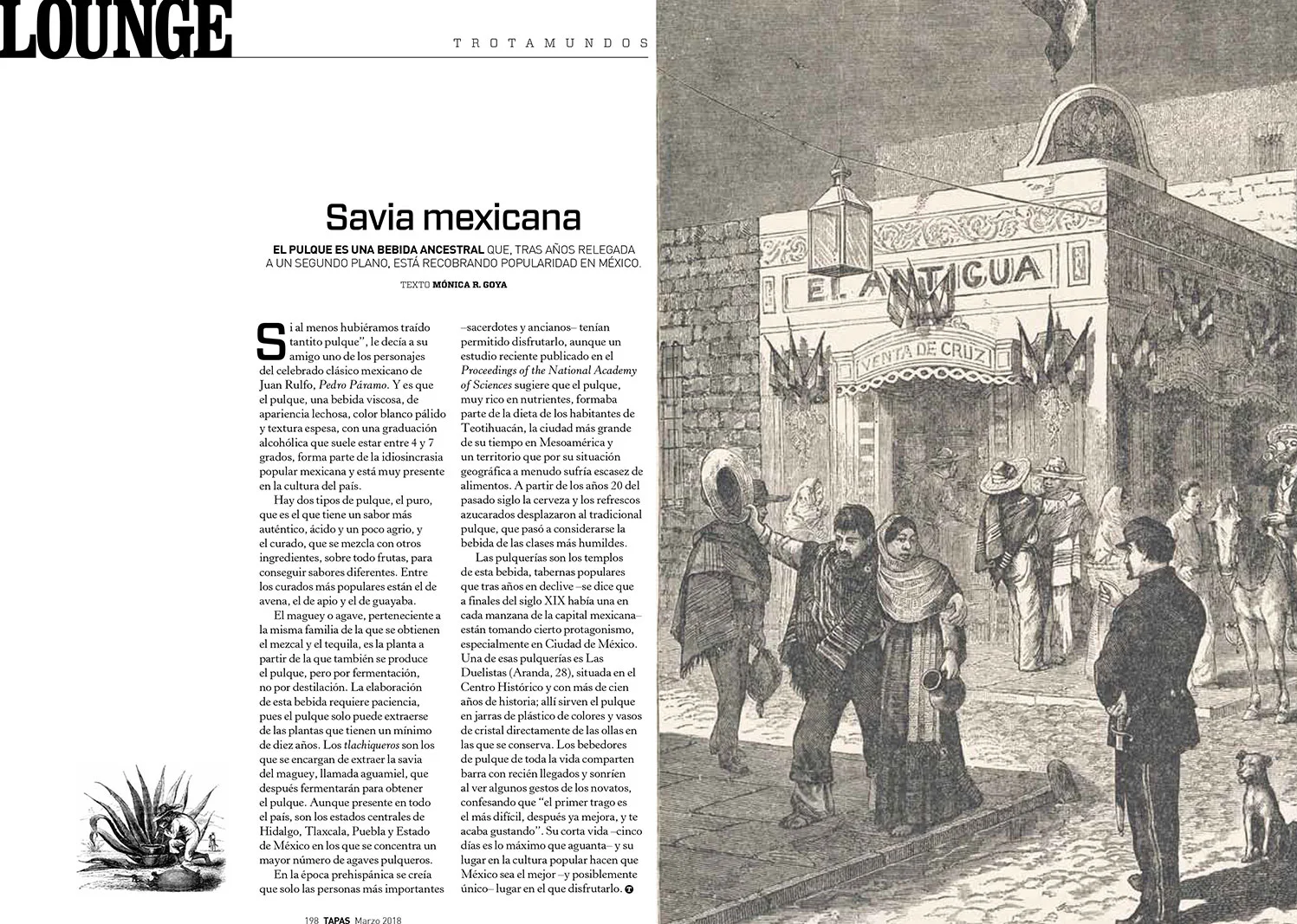 Mexican pulque - Tapas magazine March 2018 - Words