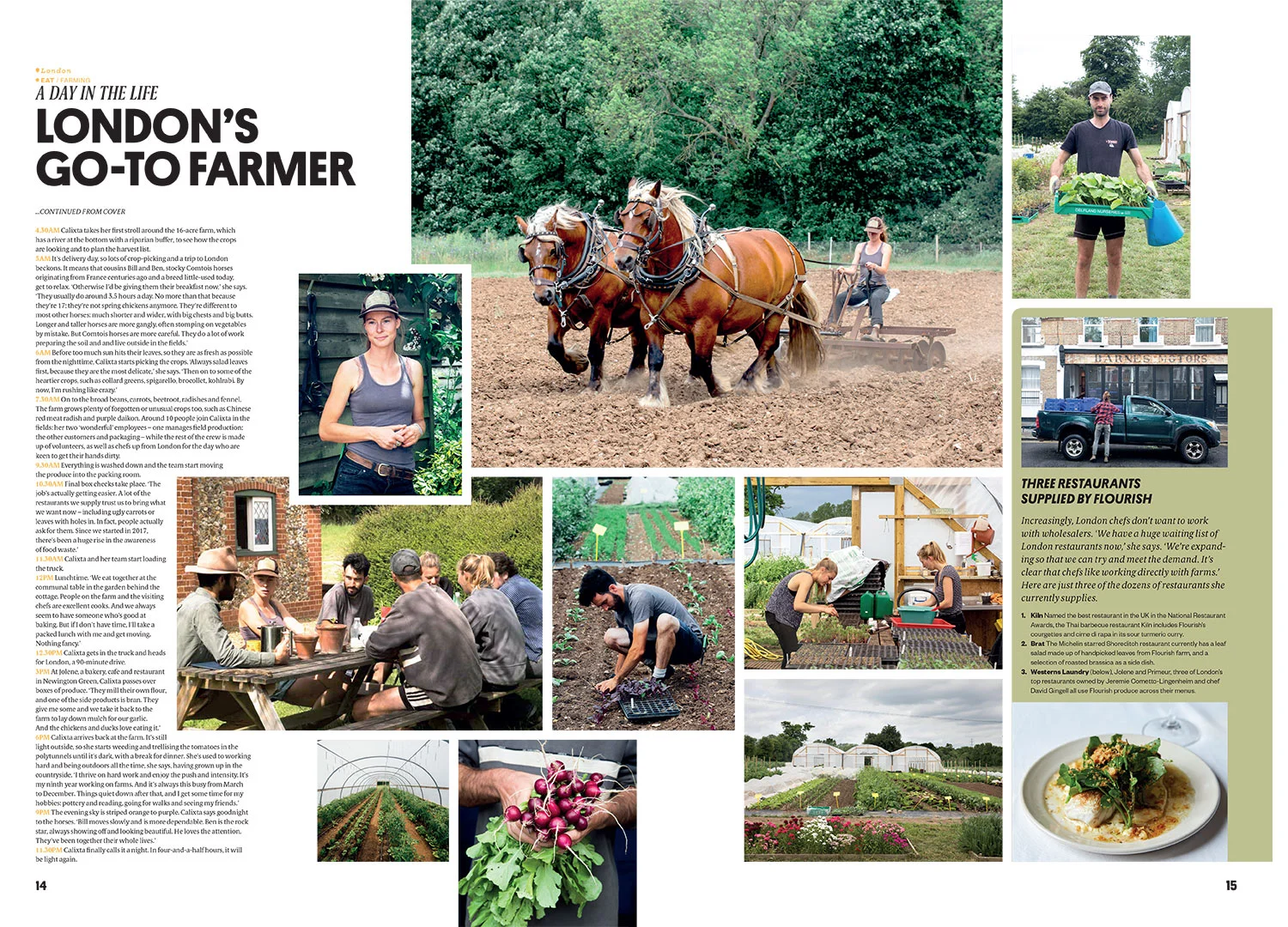 Courier-Flourish-Farm.jpg