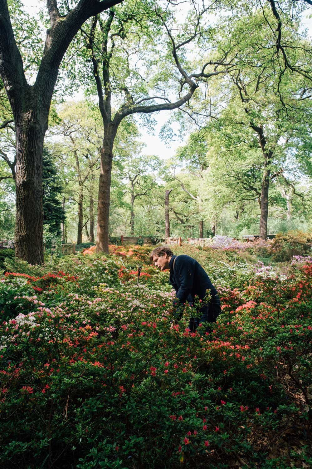 Jo Scrivener, Park Manager at Richmond Park