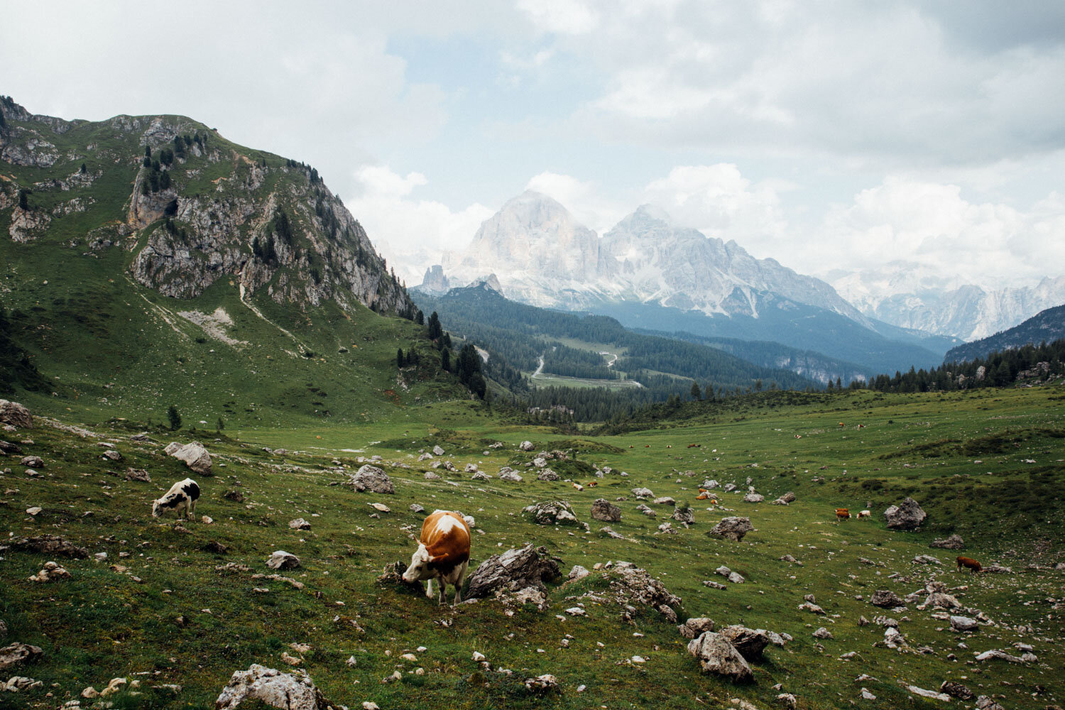 Dolomites-©MonicaRGoya-8.jpg