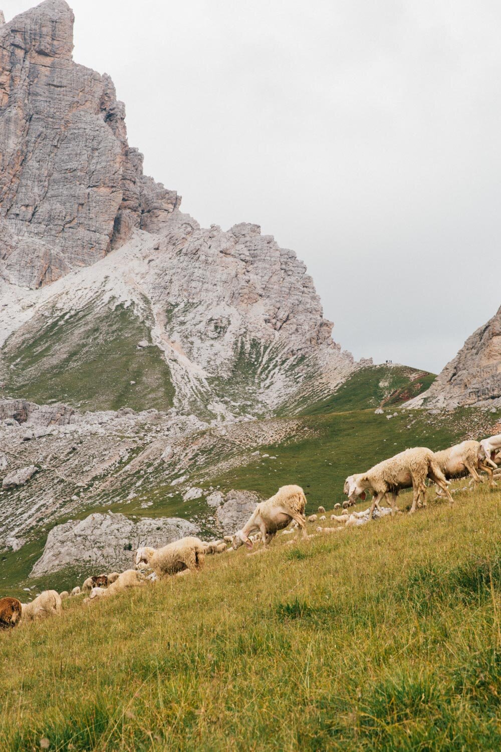 Dolomites-©MonicaRGoya-9.jpg