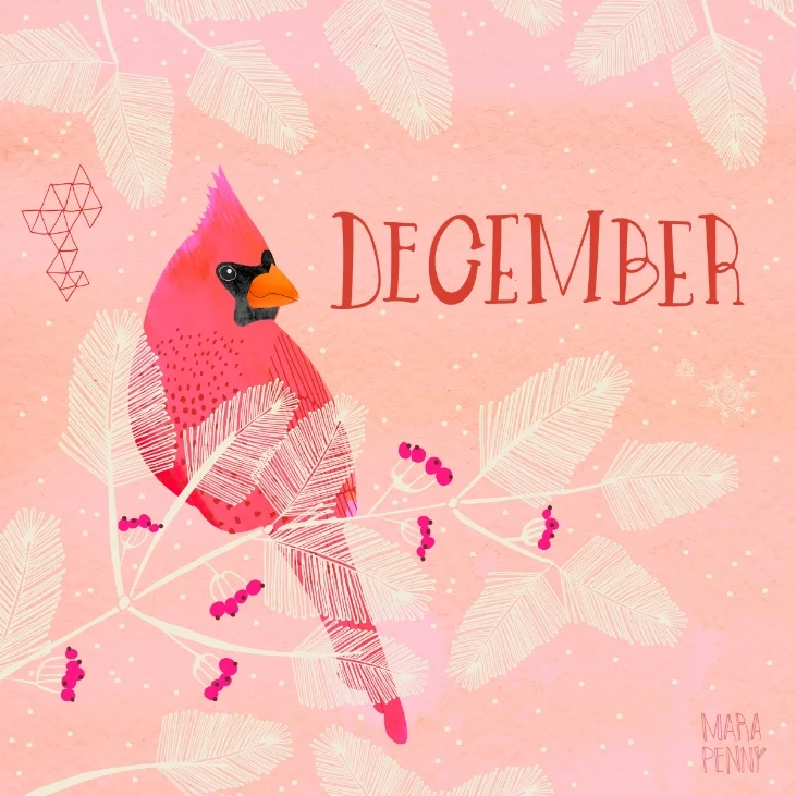 December_Cardinal_2017.jpg