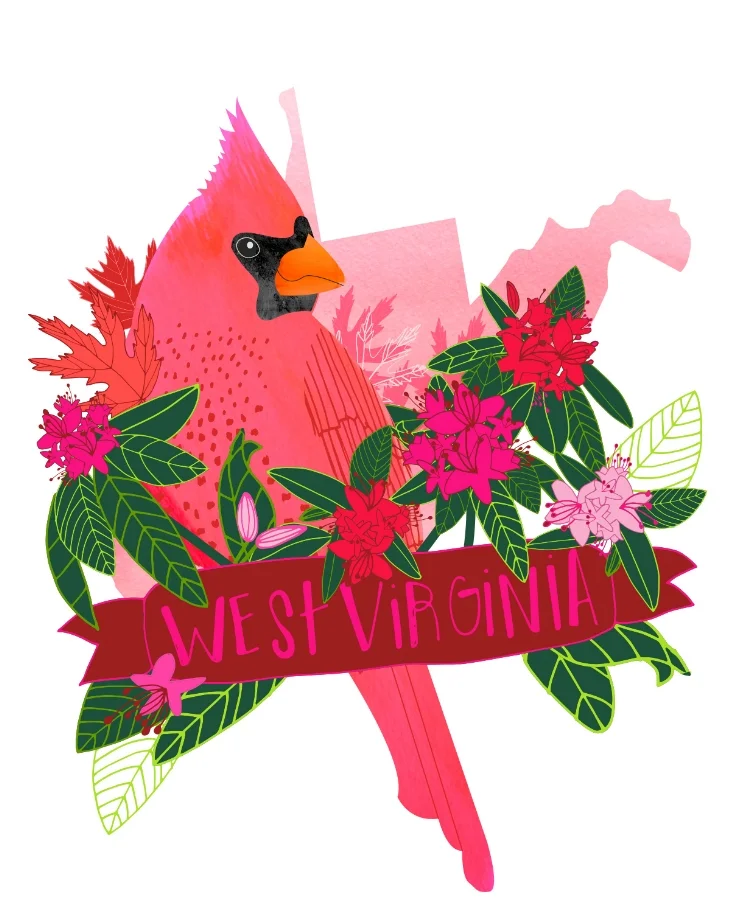 penny_PP_state-bird_west-virginia-cardinal.jpg