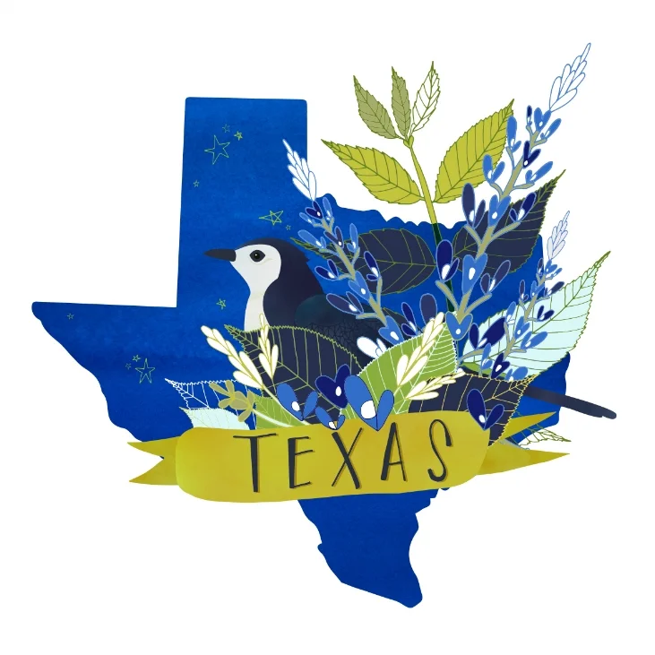 penny_1718914_Texas-State-Bird-Mockingbird_desert-song-collection.jpg