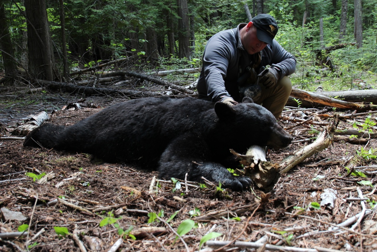 first-bear-hand-on-bear-appreciation.jpg