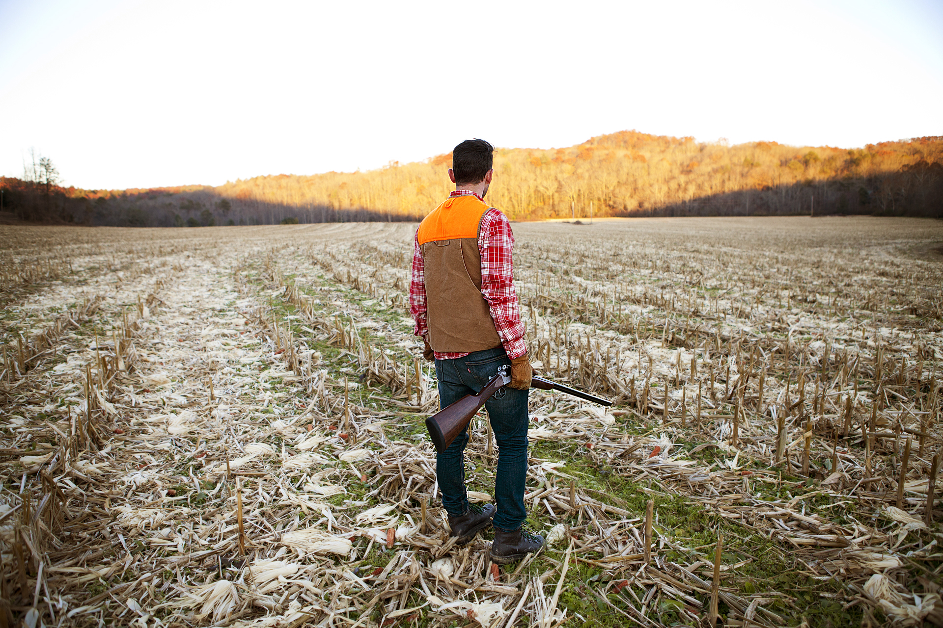 ADV007_Hunting_Mark_cornfield1.jpg