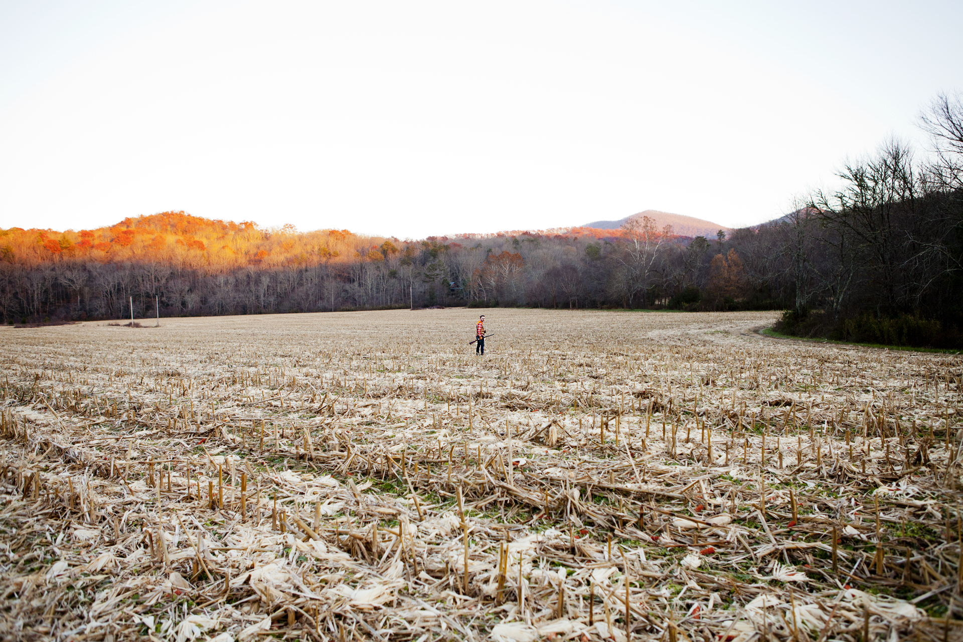 ADV007_Hunting_Mark_cornfield5.jpg