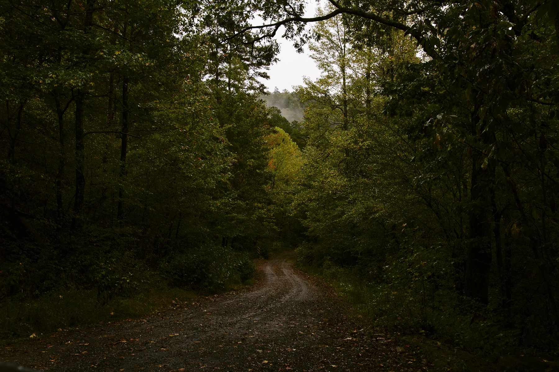 _MG_7250.jpg