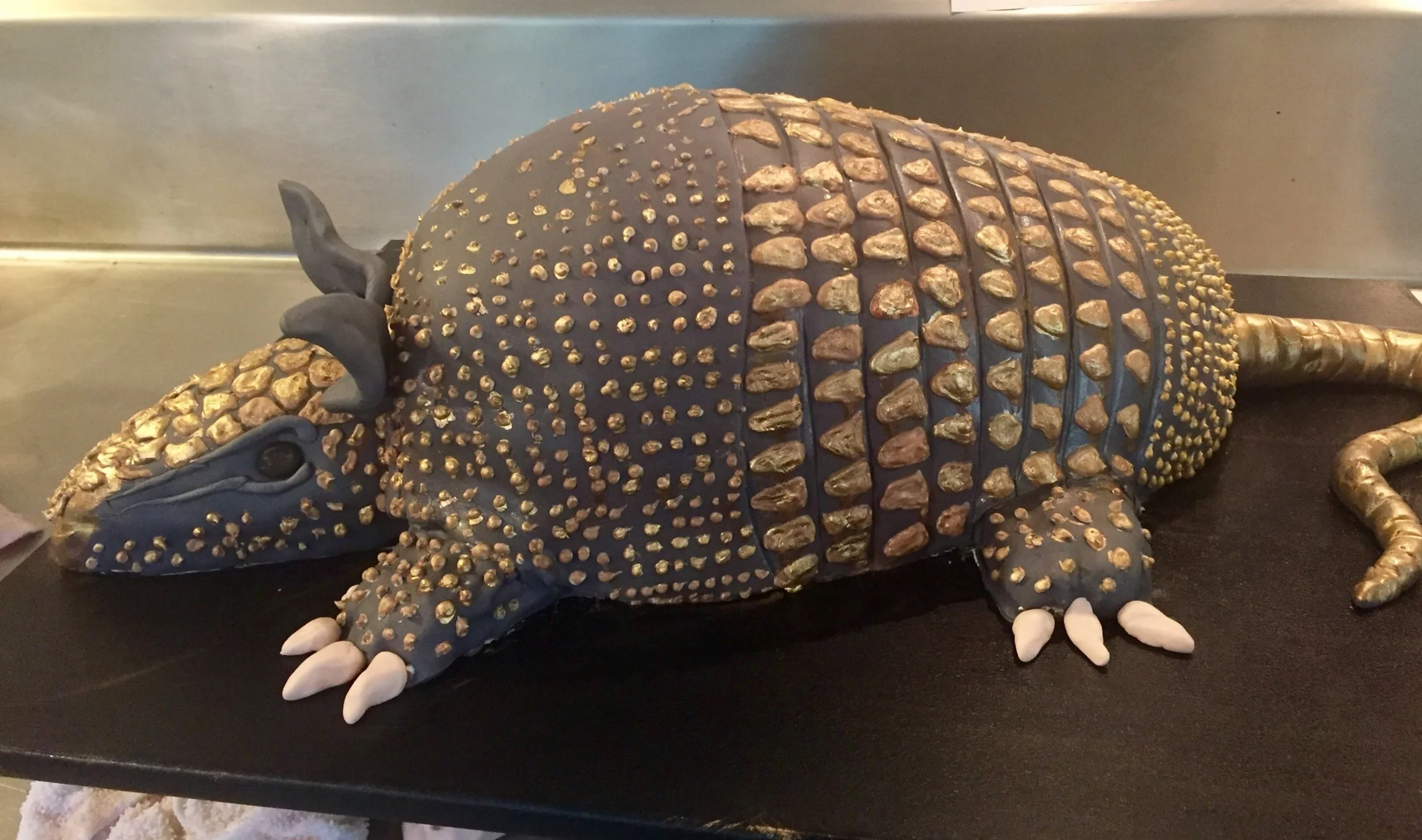 3D Armadillo Cake for Blake Shelton