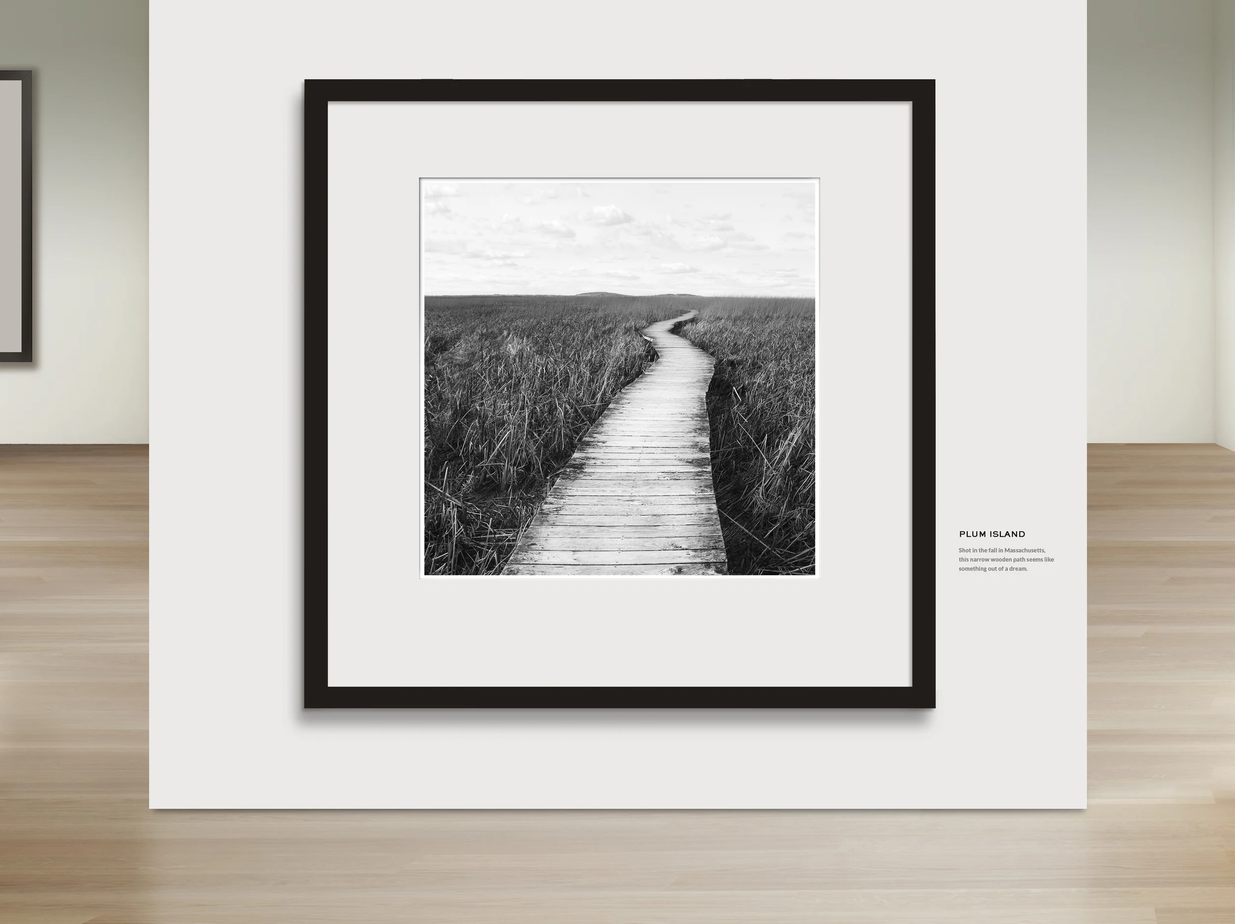 plum island gallery.jpg
