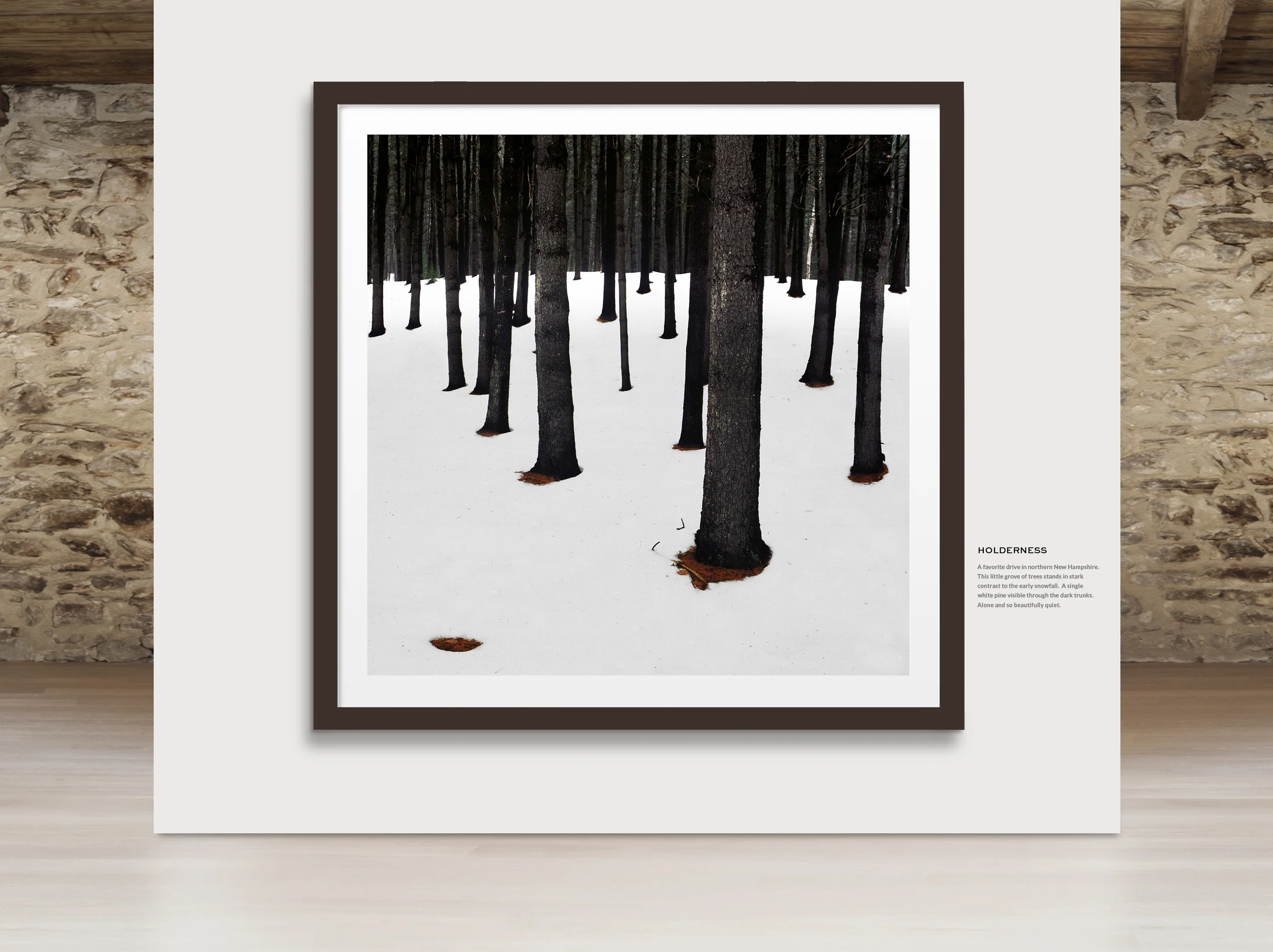 holderness gallery.jpg