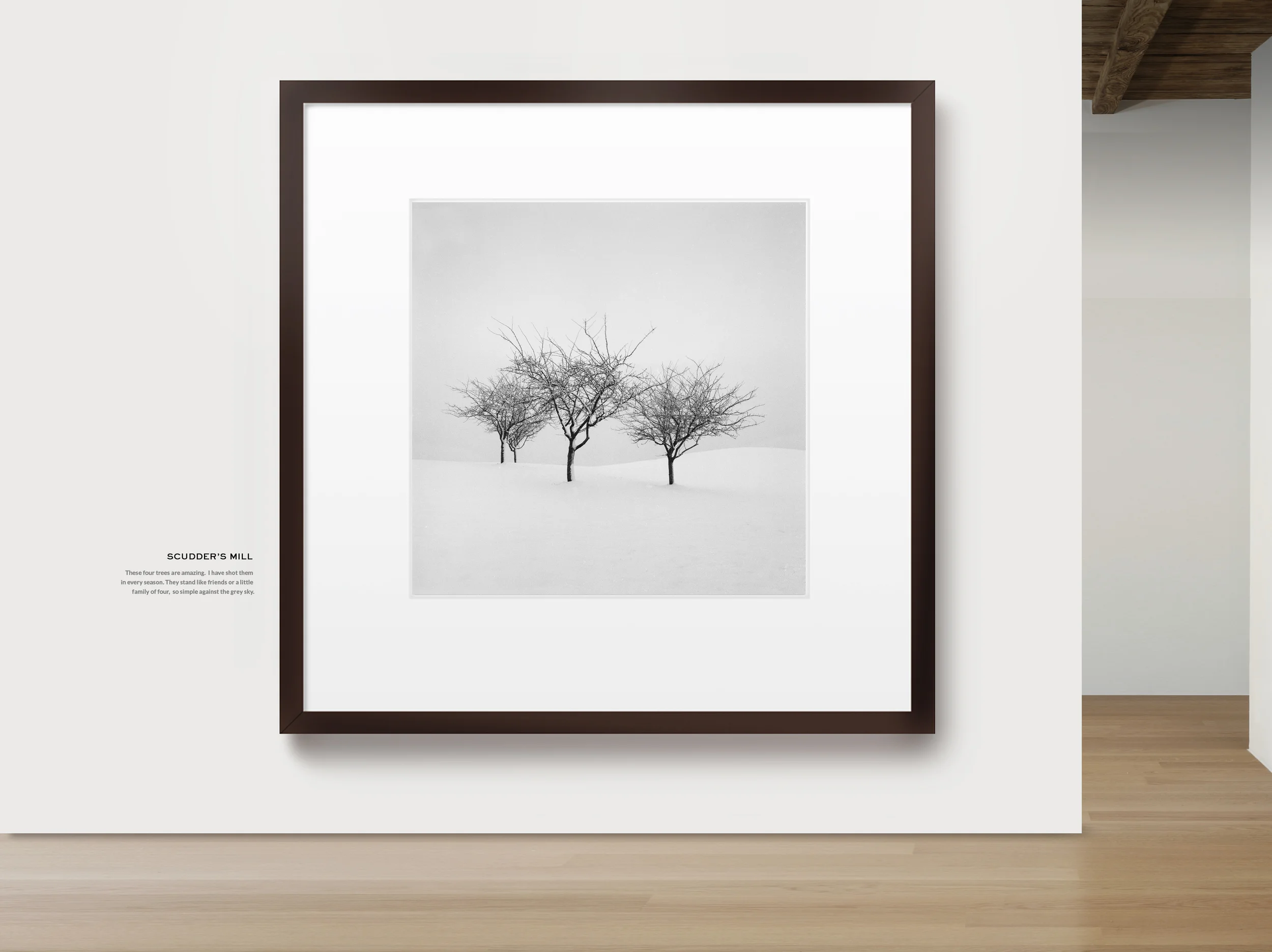 scudders mill gallery.jpg